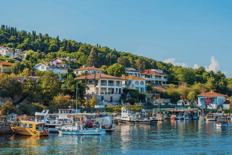 Istanbul:Princess Island(Büyükada)& Island Electric Car Trip Tour only includes guidance.