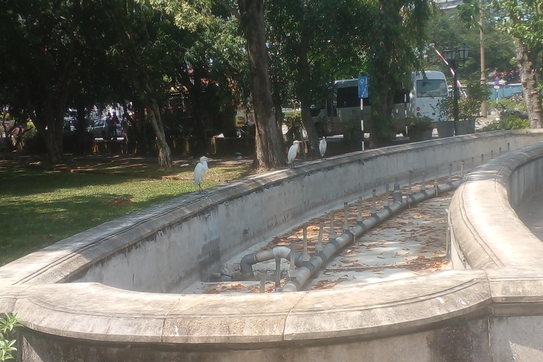 Colombo: Cruise Shore Excursion by Tuk Tuk & Tea Tasting