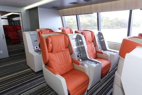 From Dar es Salaam: Zanzibar Day Trip with Ferry & Lunch