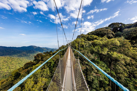 2 Day Nyungwe Canopy Walk and Zipline