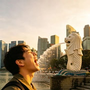 Singapore: Guided Merlion Park Tour + National Museum Ticket