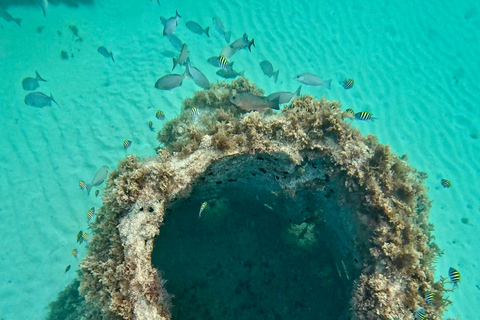 Fort Lauderdale: esnórquel, kayak y surf de remo con arrecifes y esculturasFort Lauderdale: Snorkel, Kayak &amp; SUP w/Reefs &amp; Sculptures