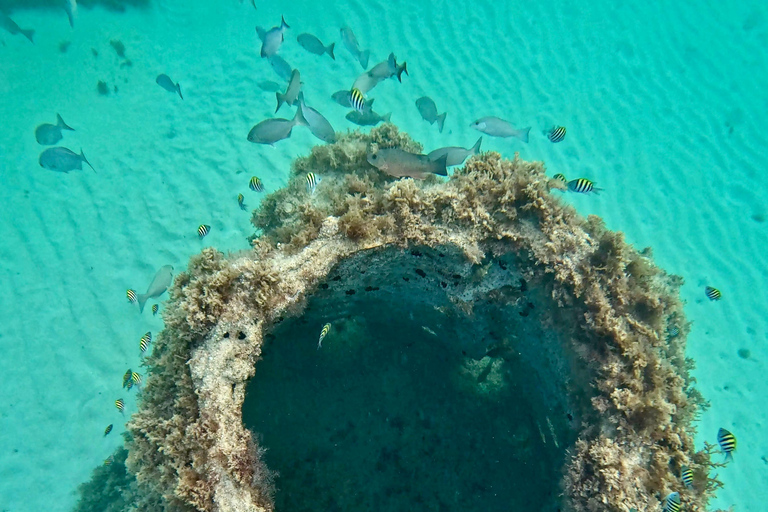 Fort Lauderdale: esnórquel, kayak y surf de remo con arrecifes y esculturasFort Lauderdale: Snorkel, Kayak &amp; SUP w/Reefs &amp; Sculptures