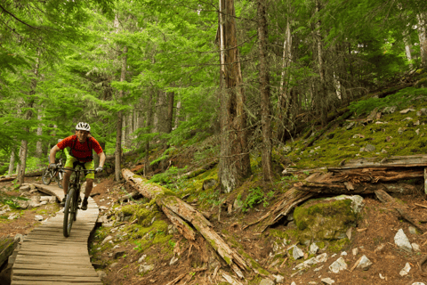Arcos de Valdevez: Bicycle rental
