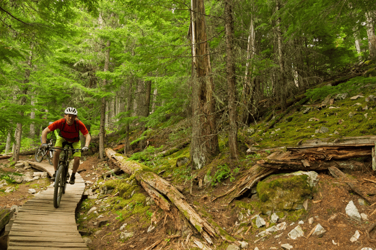 Arcos de Valdevez: Bicycle rental
