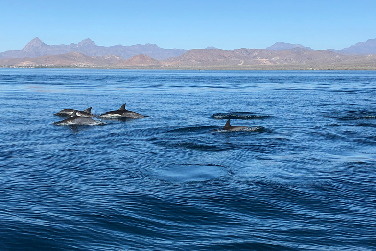 Estepona Sailing and Marine Nature Experience