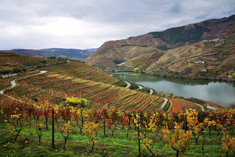 Ab Porto: 2 Weinregionen, privates Boot und Mittagessen mit dem Chefkoch