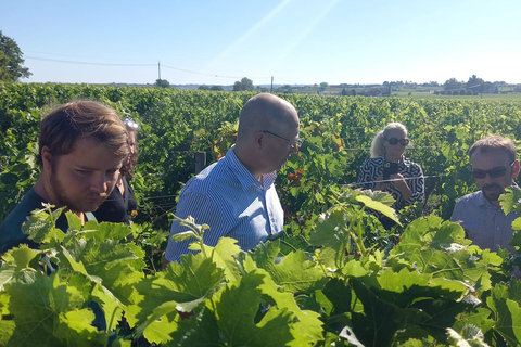 Tour del vino di Bordeaux