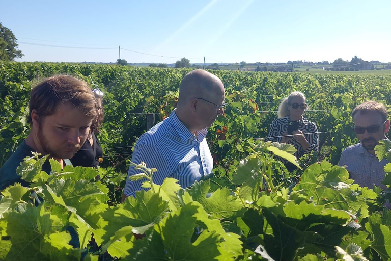 Visites guidées des vignobles de Bordeaux