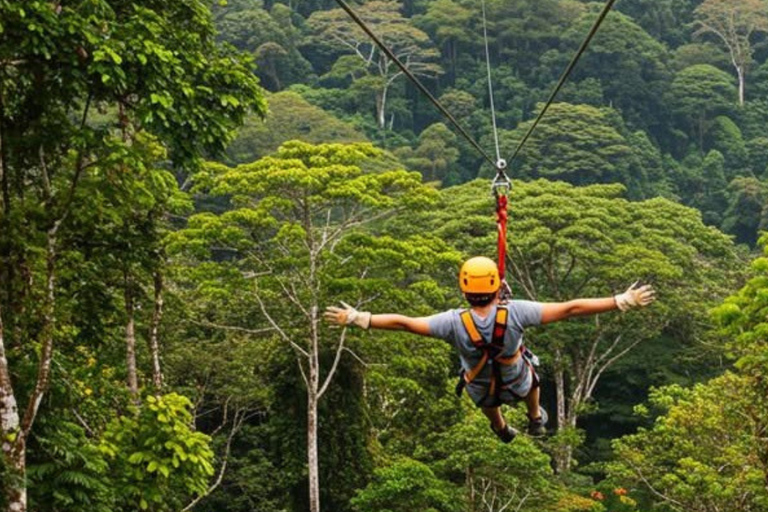 From Kigali: Nyungwe Park Waterfall Hike, Canopy & Zipline