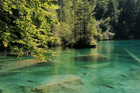 Lucerne : Interlaken and Lauterbrunnen Day Tour