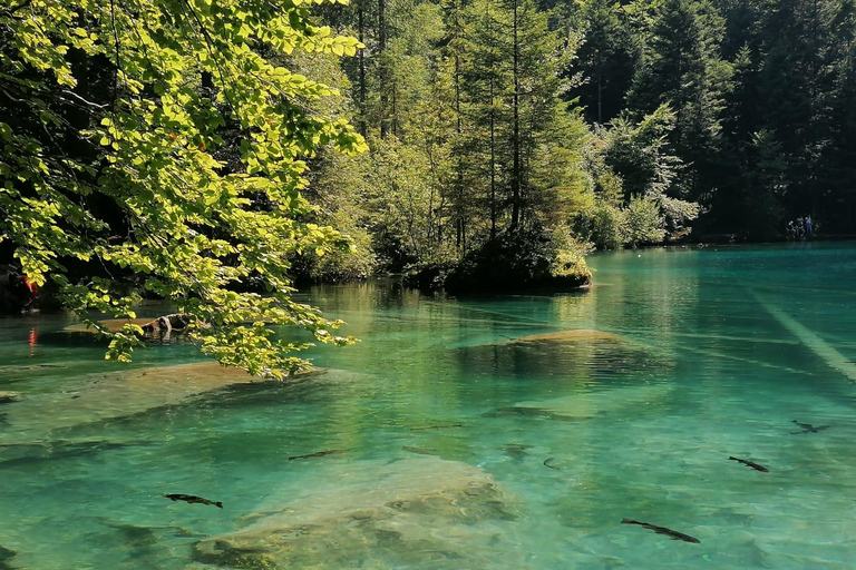 Lucerne : Interlaken and Lauterbrunnen Day Tour