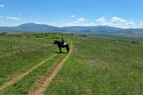 Sofia: Horse riding through the nearest paradise to Sofia