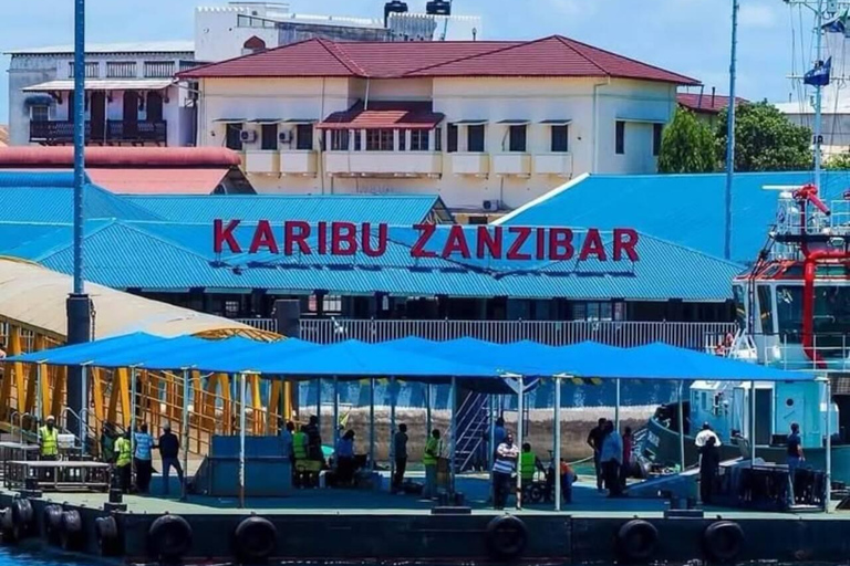 桑给巴尔：石头城、监狱岛和萨拉姆洞海龟