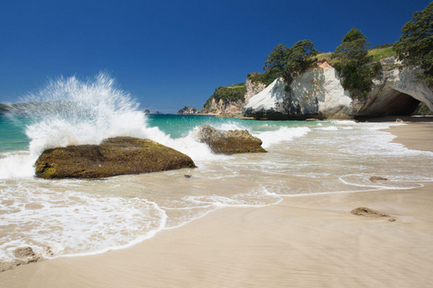 Z Auckland: Cathedral Cove i wycieczka na plażę z gorącą wodą