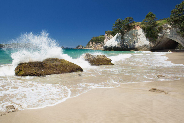 Vanuit Auckland: Cathedral Cove &amp; heet water strandtour