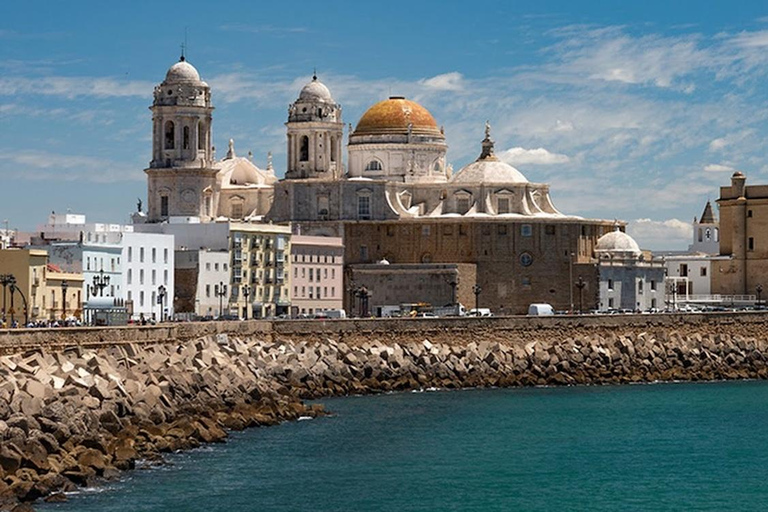 From Seville: Private Sherry Triangle & Cádiz Day Trip