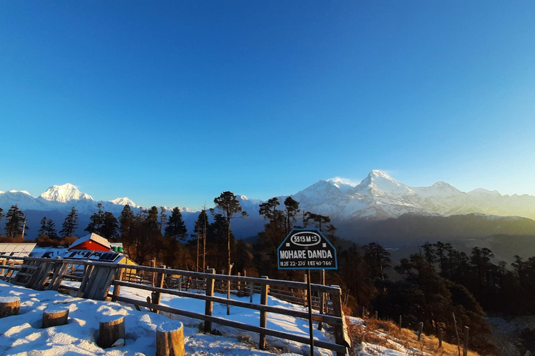 Mohare Danda Trek - 8 Days