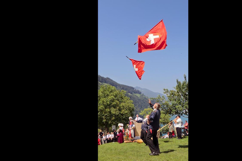 3 Privately Guided Swiss Travel Pass Train Tours from Zurich Group of 8 Excluding Train Tickets