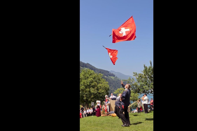 3 Privately Guided Swiss Travel Pass Train Tours from Zurich Group of 8 Excluding Train Tickets