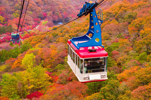 Naejangsan Autumn Foliage Day Tour from Seoul and Busan Group tour, departure from Haeundae Station Exit 5 (Busan)