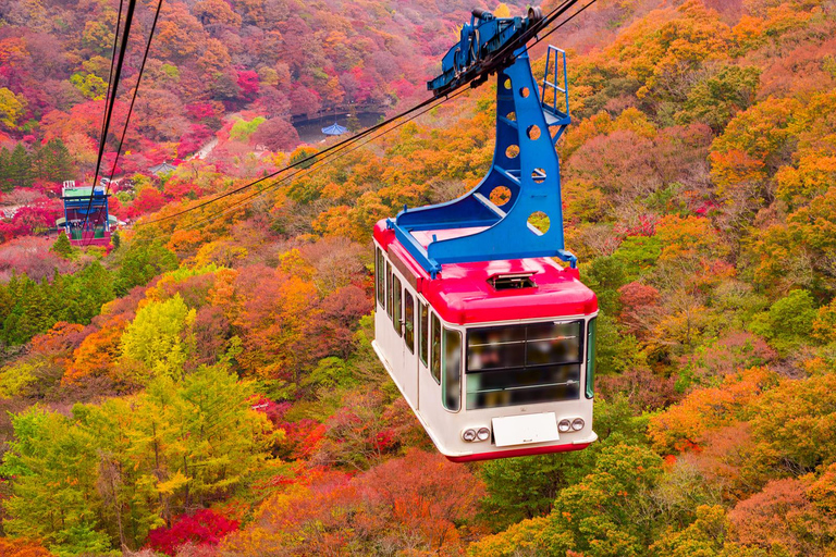 Naejangsan Autumn Foliage Day Tour from Seoul and Busan Group tour, departure from Haeundae Station Exit 5 (Busan)