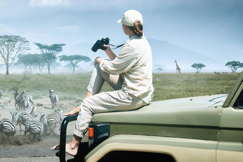 2 dagars safari på Wellness Lodge med flyg tur och retur från Zanzibar