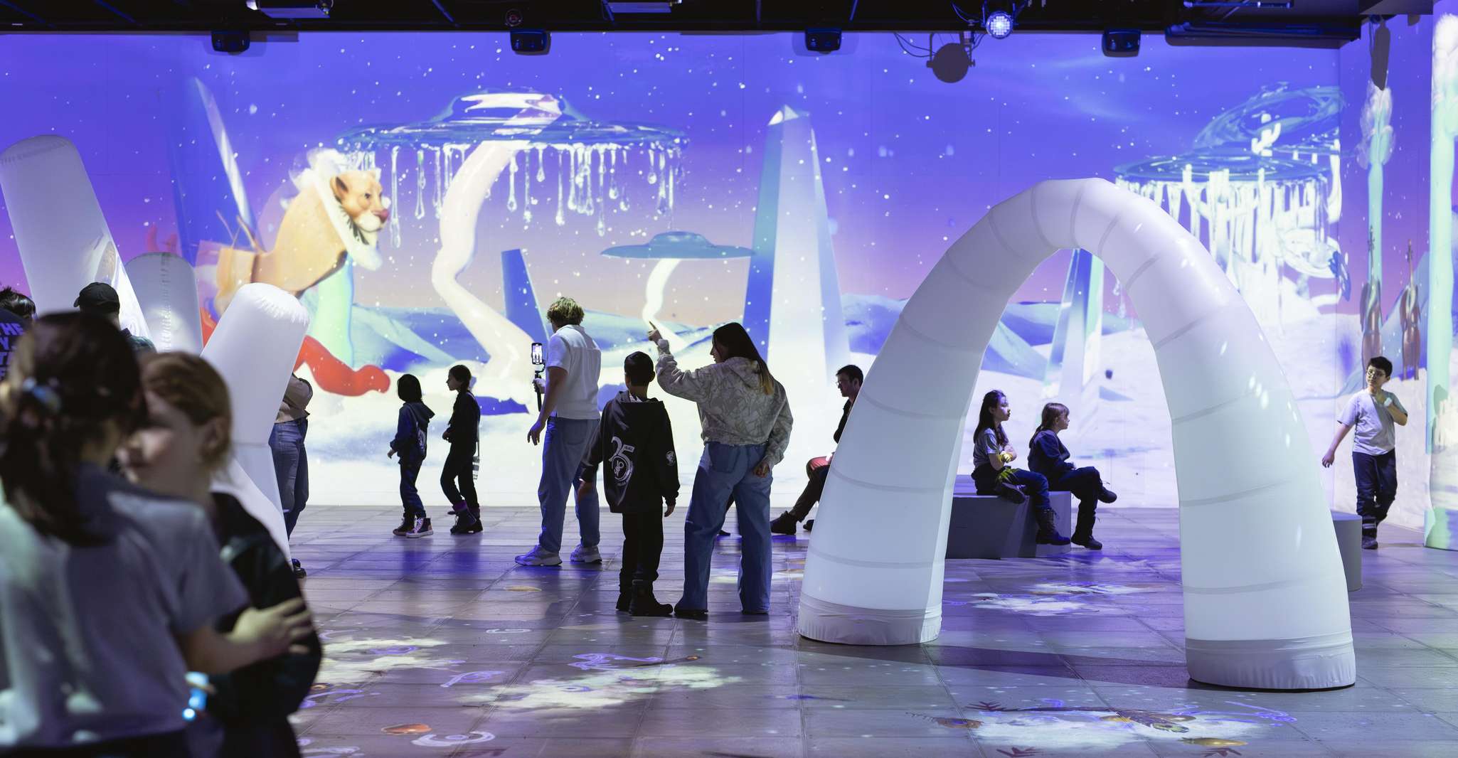 Montreal: OASIS Immersion Entry Ticket photo 3