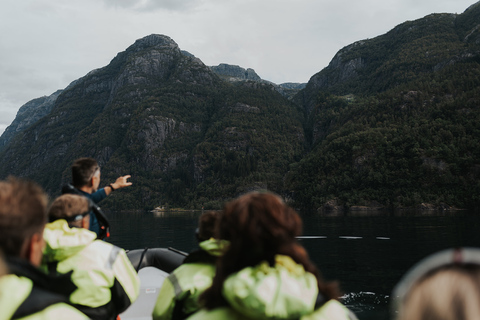 Norheimsund: Aventura privativa exclusiva no RIB do HardangerfjordNorheimsund: safári particular Hardangerfjord e Fyksesund RIB