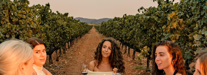 IBIZA : dégustation de vin privée et tapas + huile d'olive et prise en charge