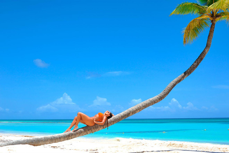 Desde Punta Cana: Catamarán y Lancha Rápida a Isla Saona…