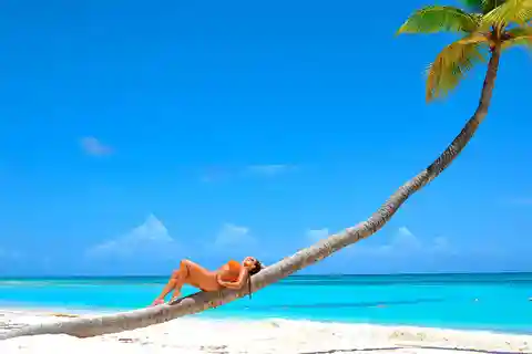 From Punta Cana: Saona Island Catamaran and Speedboat …