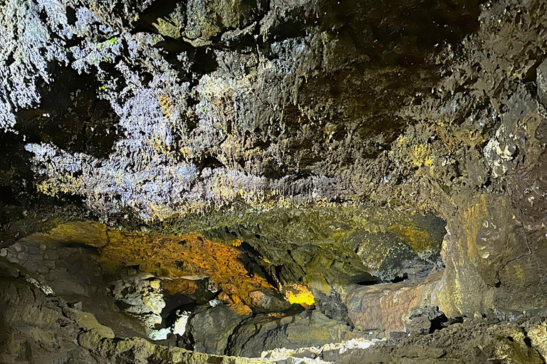 São Miguel: Botanical Gardens and Cave Tour