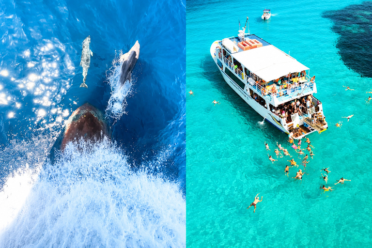 Thessaloniki: Halkidiki Blue Lagoon Cruise