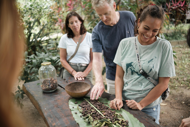Cacao and Poza del Amor Experience in Tayrona