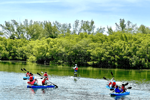 Miami: Manatee Season Paddleboard or Kayak Tour Miami: Manatee Season Single Kayak Tour