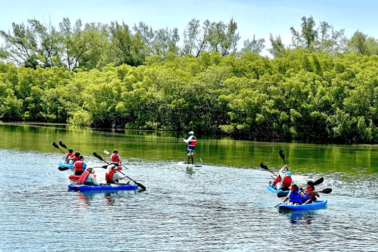 Miami: Manatee Season Paddleboard or Kayak Tour Miami: Manatee Season Single Kayak Tour