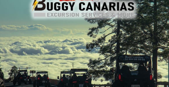 Tenerife: tour en buggy por el Teide por la mañana o al atardecer