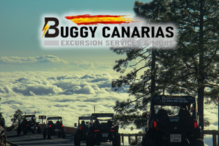 Tenerife: Morning or Sunset Teide Buggy Tour