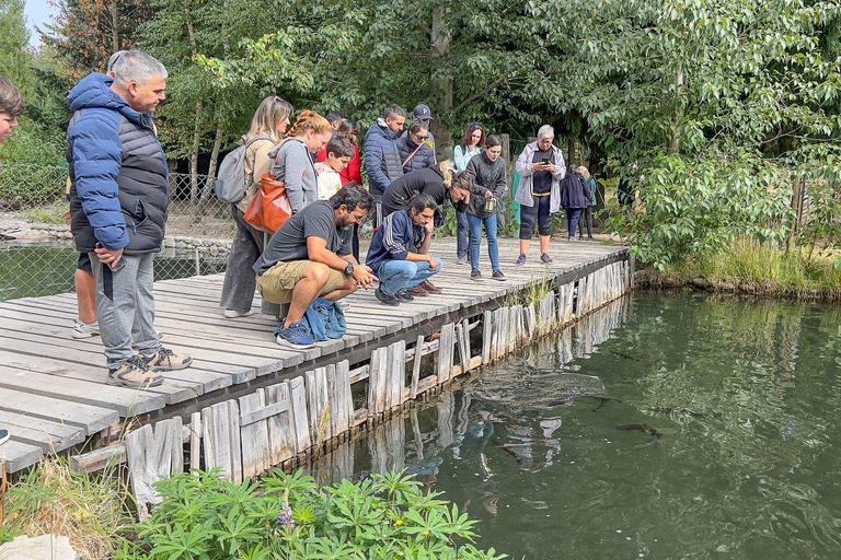 Bariloche: Andean Region Tour to El Bolsón & Lago Puelo
