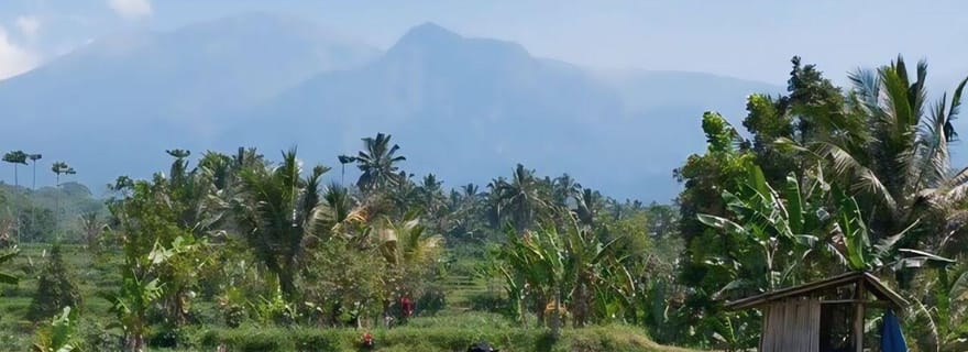 Tetebatu : Promenade en rizière, cascade et mongol noir