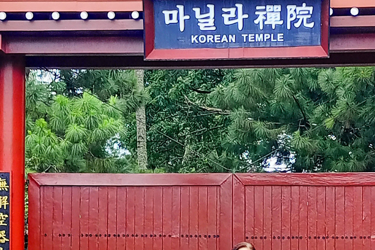 私人观光：大雅台高地和塔尔火山游船私人观光：大雅台中部地区和塔尔火山游船