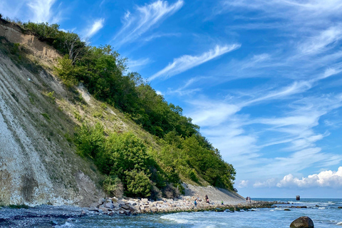 From Copenhagen: Møns Klint & Forest Tower Nature Day Trip