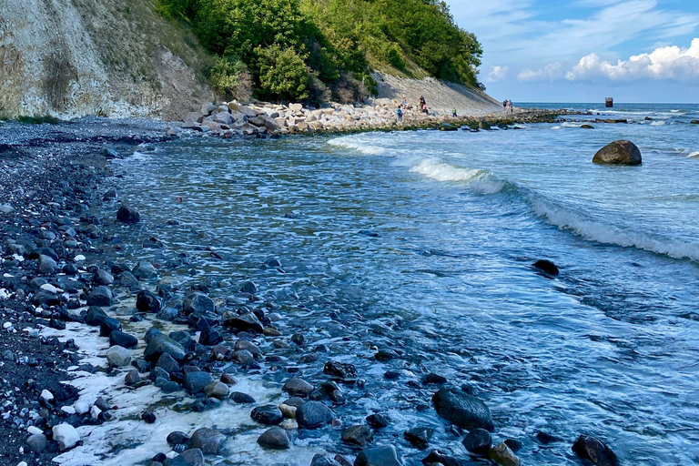 From Copenhagen: Møns Klint & Forest Tower Nature Day Trip
