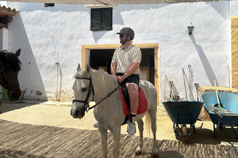 Alicante: przejażdżka konna po górach Maigmó, piknik i transferAlicante: Wycieczka konna na górę Maigmó, piknik i transfer