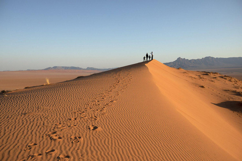 From Windhoek: 6-Day Namibia Safari with Lodging & Meals