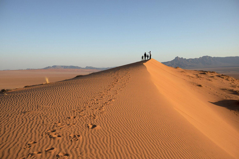 From Windhoek: 6-Day Namibia Safari with Lodging & Meals