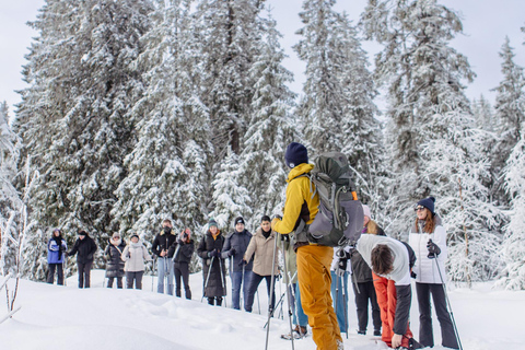 Depuis Oslo : Visite guidée en raquettes de la forêt d'OslomarkaDepuis Oslo : Randonnée guidée en raquettes dans la forêt d'Oslomarka