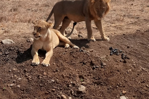 Overnachtingssafari naar Tsavo East vanaf Diani Beach