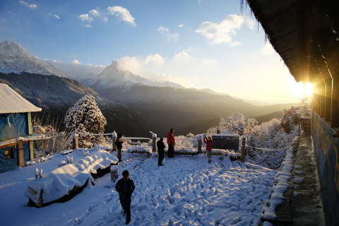 Pokhara: 7-dagars guidad vandring till Annapurna Base CampPokhara: 7-dagars Epic Annapurna Base Camp Trek Fullständigt paket